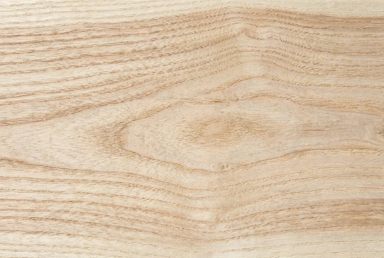 Ash wood grain texture close up