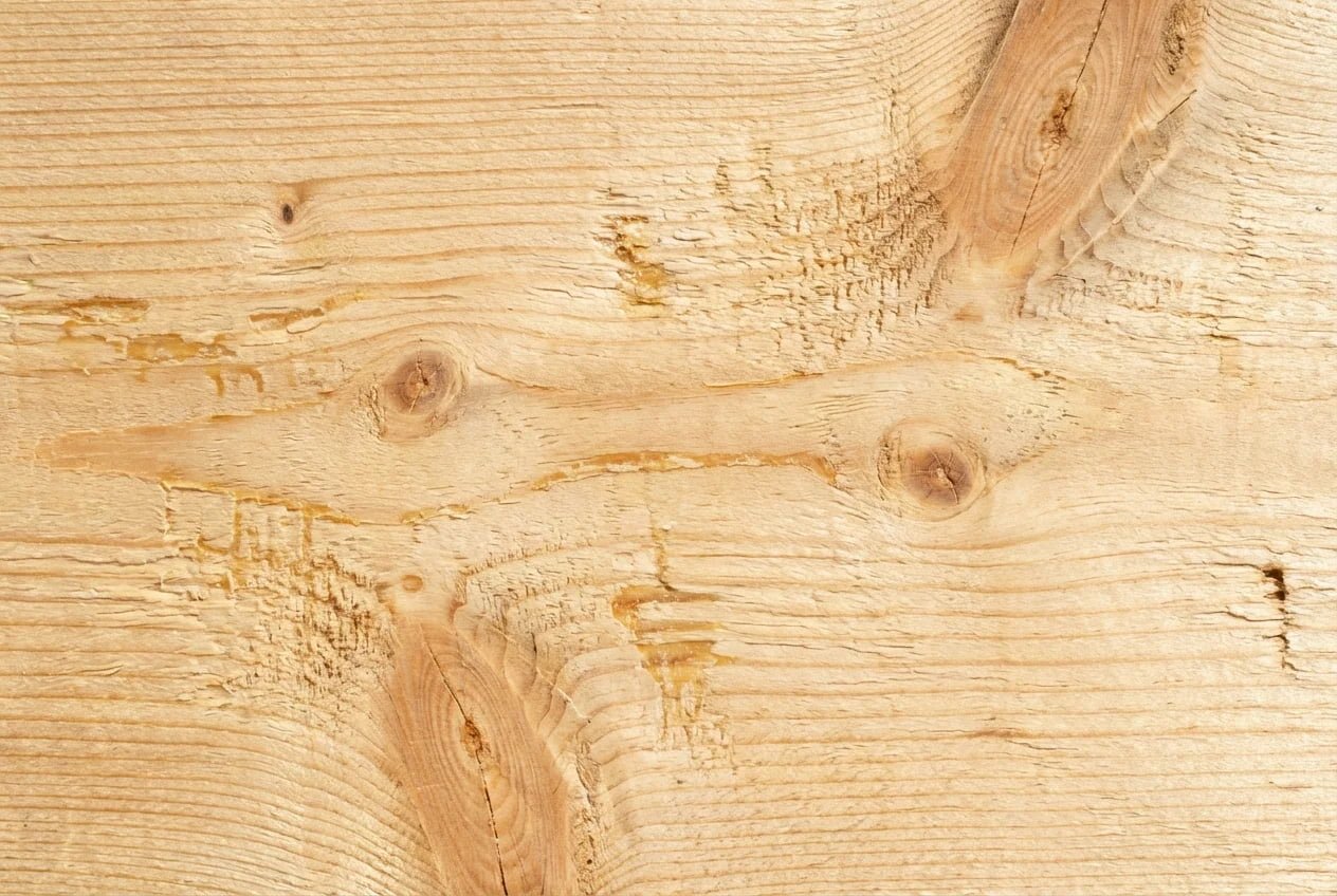 Pine wood grain and knots