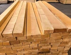 Birch vs. Beech Brush Handles: Cost, Weight & Ferrule Fit Compared